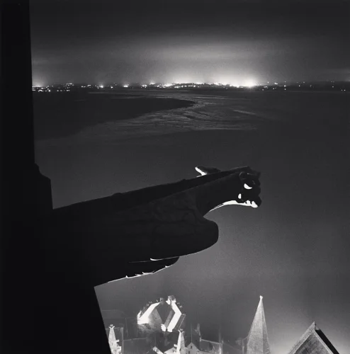 Gargoyle Cityscape Dramatic High Contrast Mysterious Atmospheric