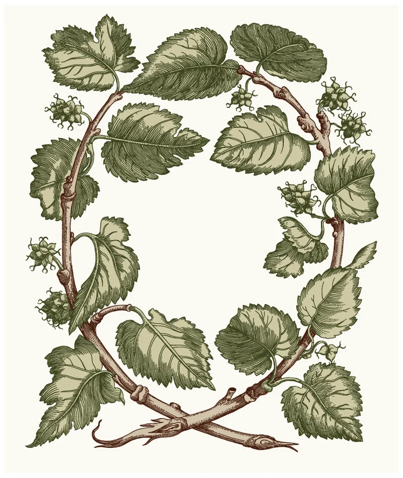 Green botanical wreath with leaves and berries