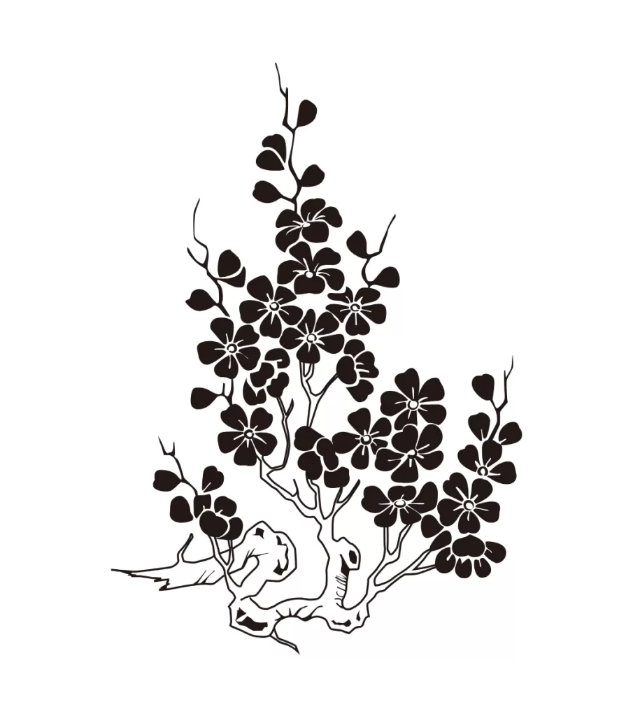 Cherry Blossom Branch Botanical Line Art Illustration