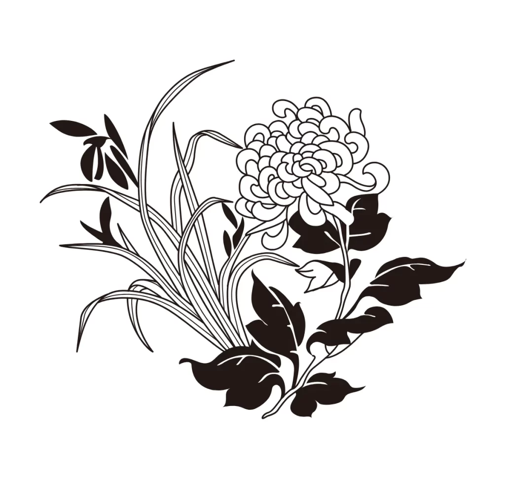 Chrysanthemum Bloom Botanical Line Art Illustration