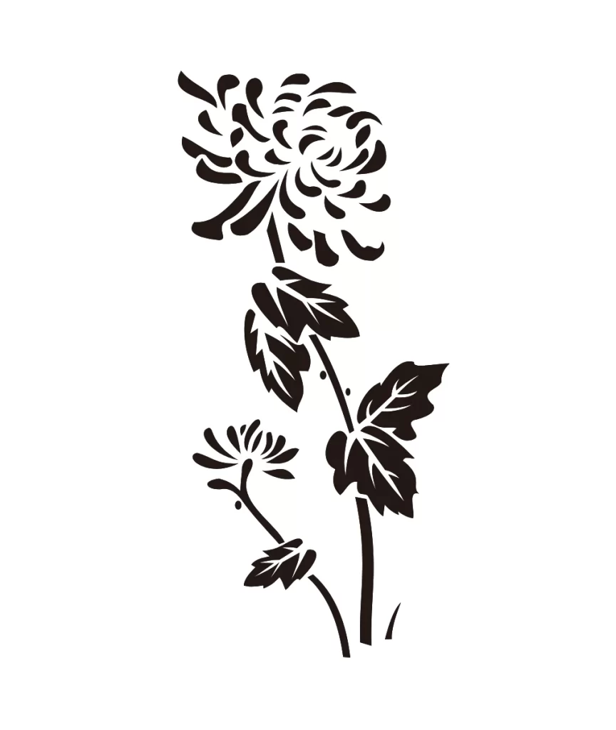 Chrysanthemum Botanical Line Art Ink Illustration