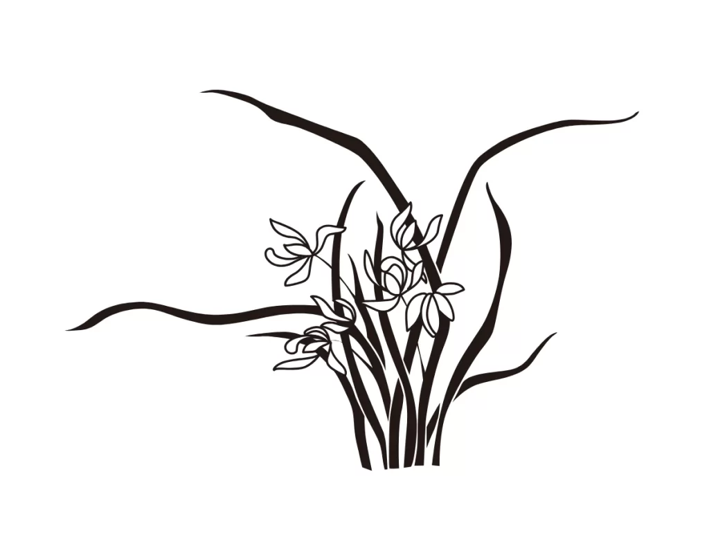 Iris Flower Botanical Line Art Ink Illustration
