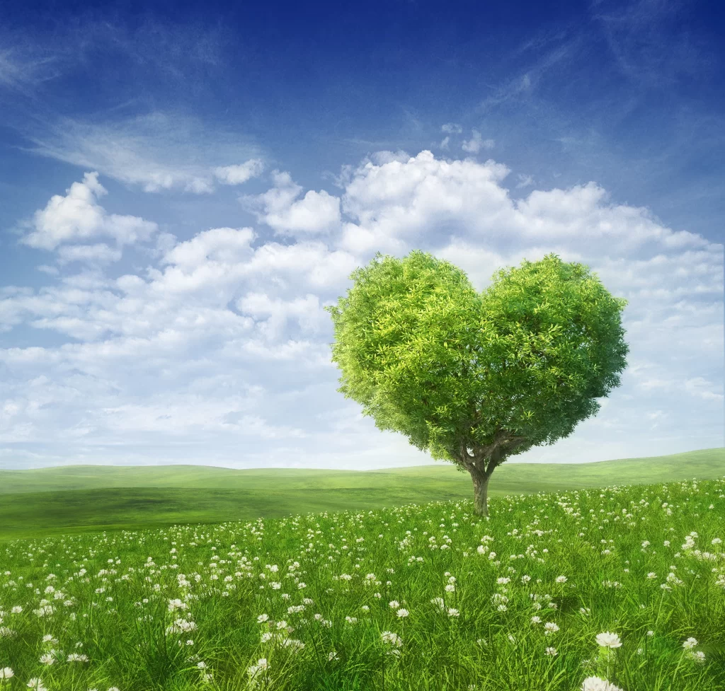 Heart-shaped Green Tree White Flowers Rolling Hills Blue Sky