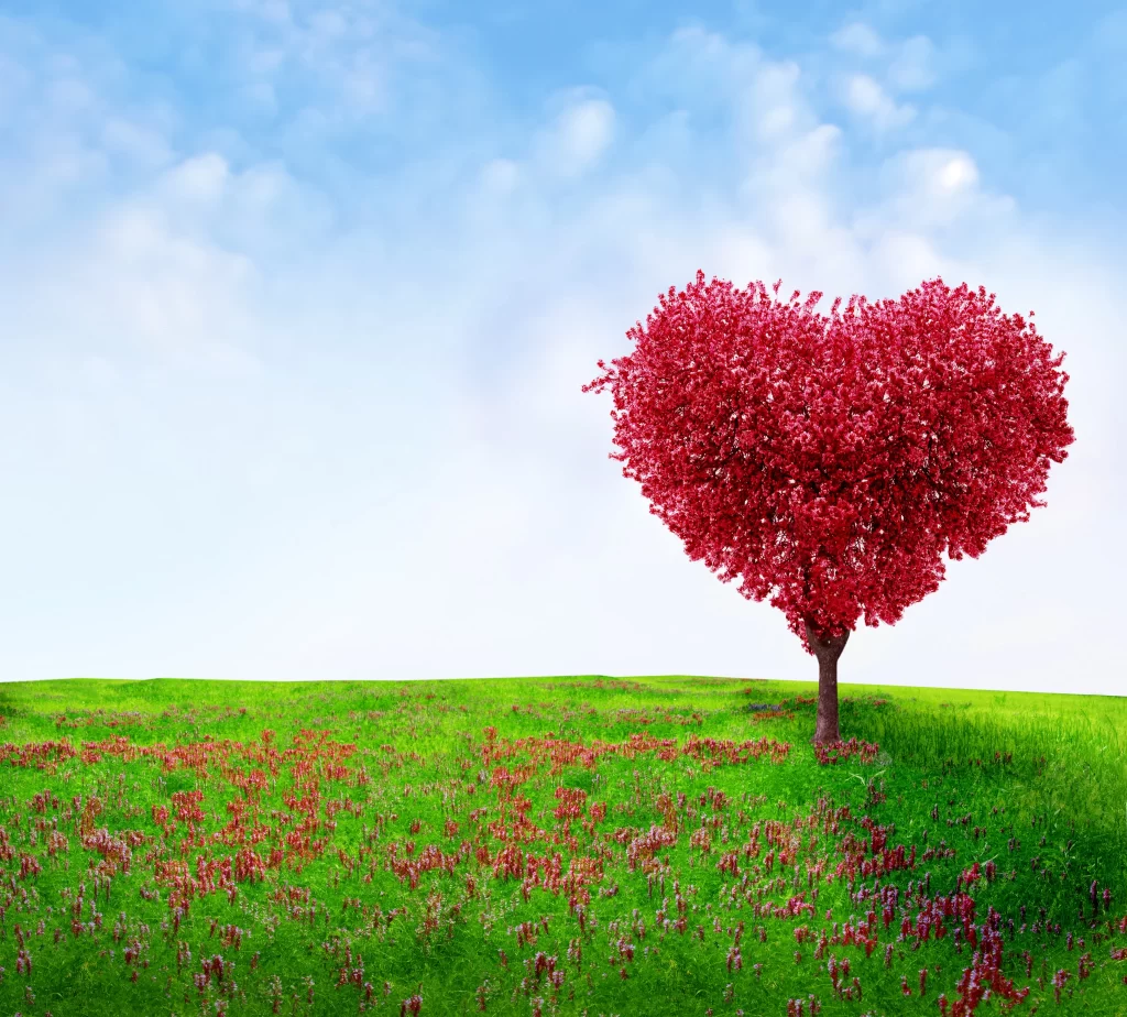 Heart-shaped Red Blossom Lush Green Field Blue Sky