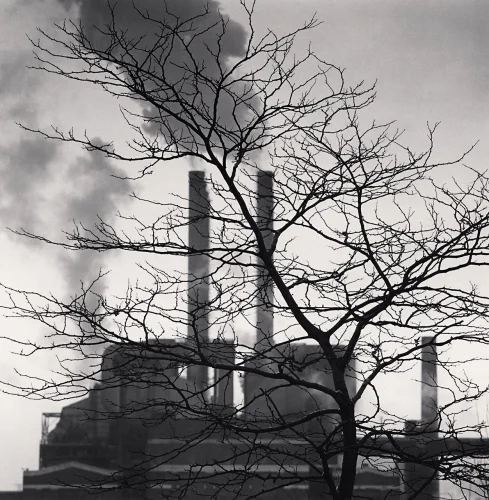 Industrial Smokestacks Nature High Contrast Moody
