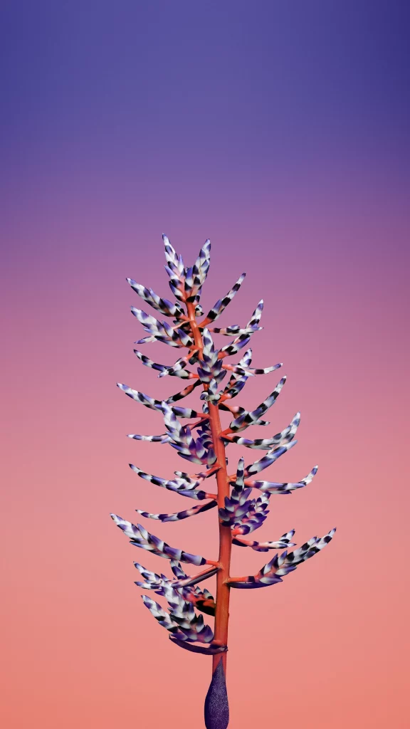 iOS 11 Wallpaper Blue Purple Gradient