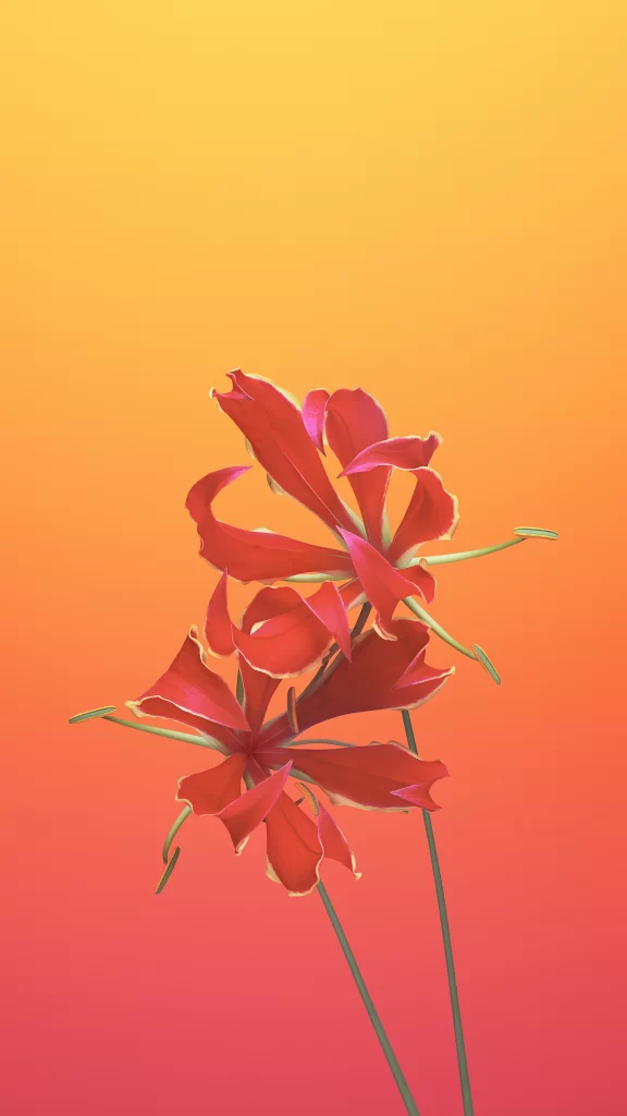iOS 11 Wallpaper Red Orange Gradient