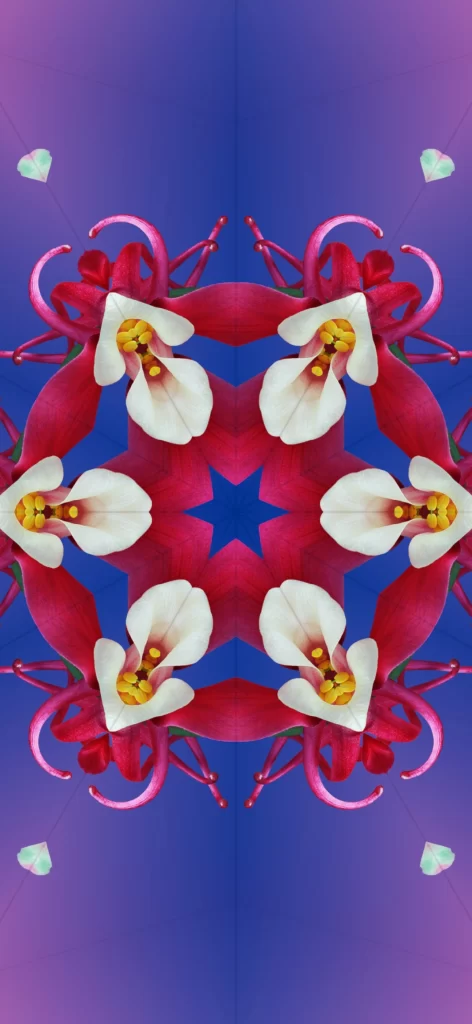 iOS 17 Kaleidoscope Wallpaper Red White