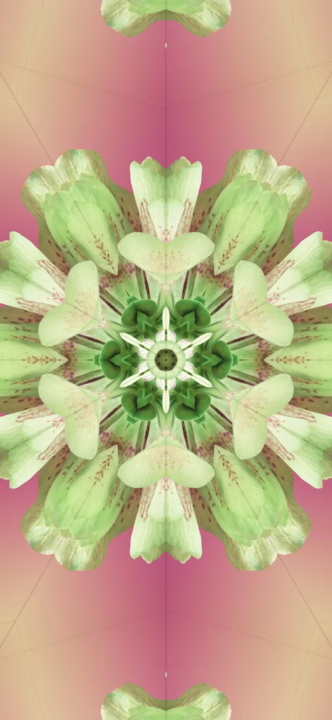 iOS 17 Kaleidoscope Wallpaper Green Pink