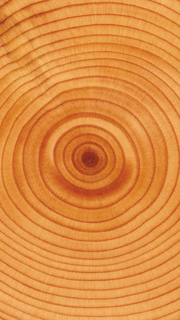 iOS 6 Wallpaper Brown Orange Geometric