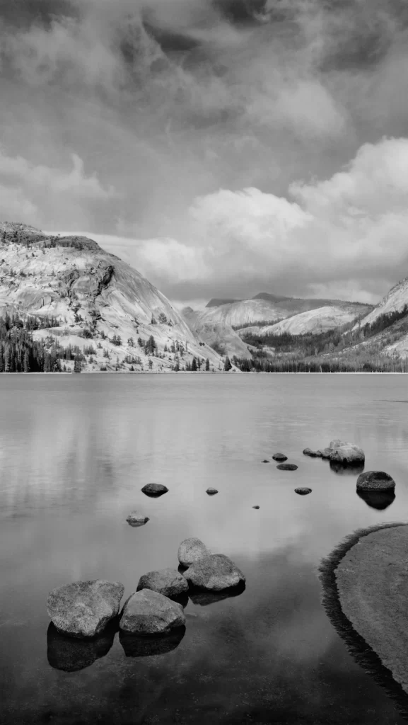 iOS 7 Wallpaper Black White Nature