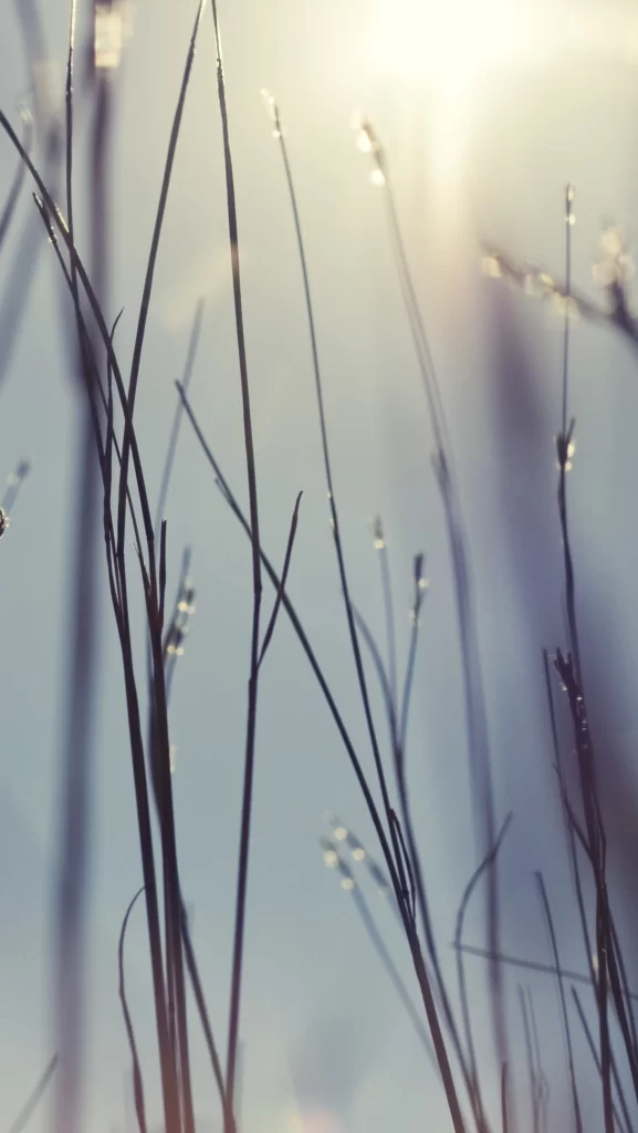 iOS 7 Wallpaper Blue White 20