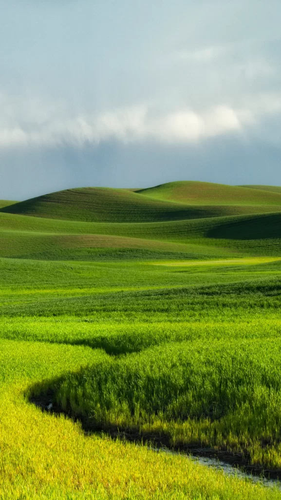 iOS 7 Wallpaper Green Hills Nature