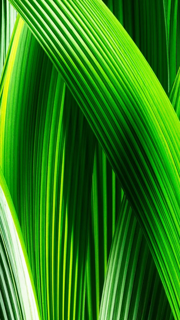 iOS 7 Wallpaper Green Nature Abstract