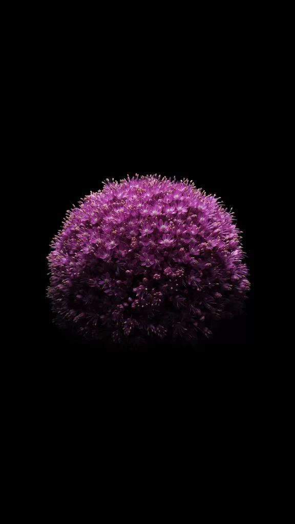 iOS 8 Wallpaper Purple Nature Geometric