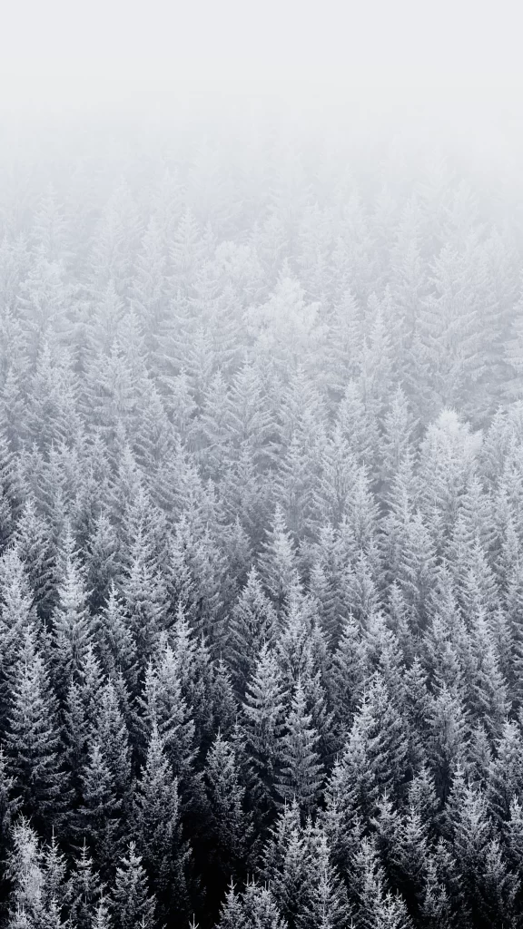 iOS 8 Wallpaper White Grey Nature