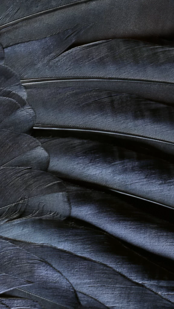 iOS 9 Wallpaper Black Blue Nature