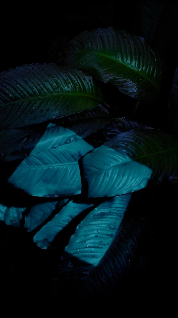 iOS 9 Wallpaper Blue Green Nature