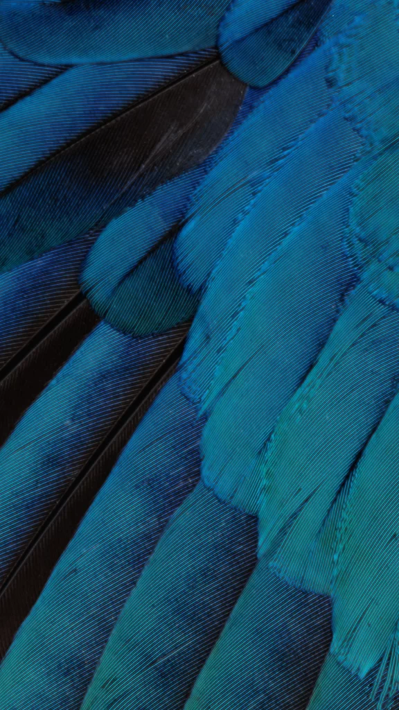 iOS 9 Wallpaper Blue Teal Nature
