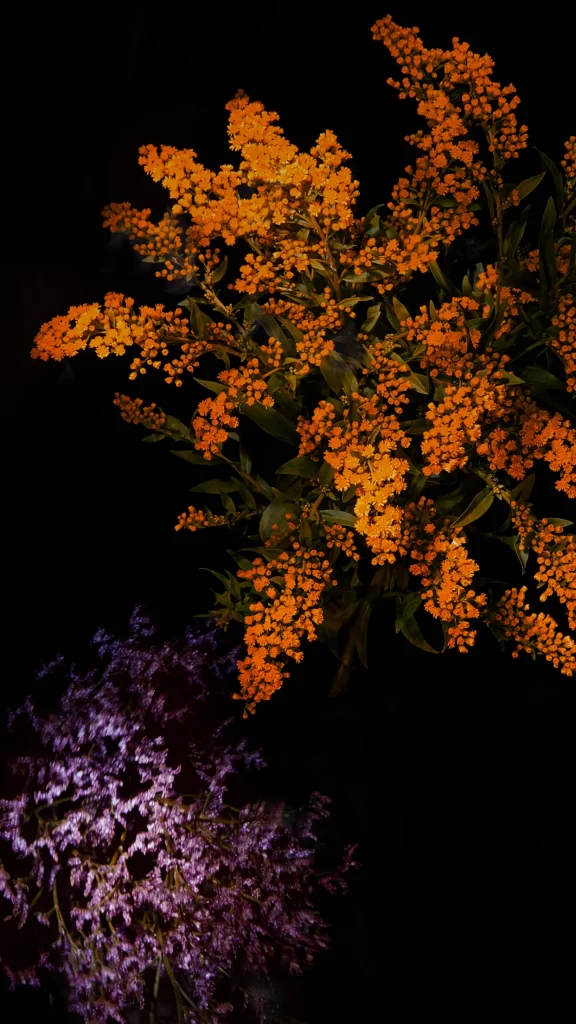 iOS 9 Wallpaper Orange Yellow Nature