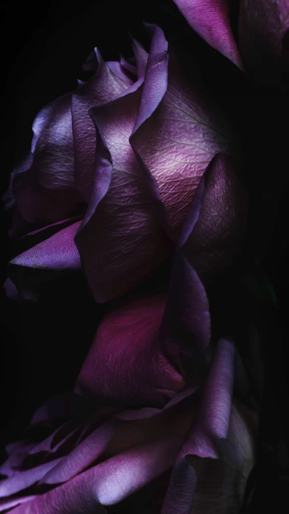 iOS 9 Wallpaper Purple Dark Nature