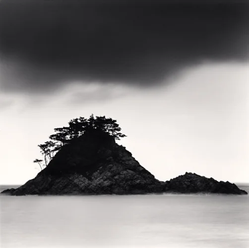 Island Trees Silhouetted Foggy Dramatic Atmospheric Nature