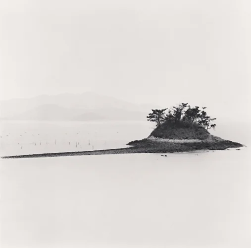 Island Trees Water Foggy Dramatic Atmospheric Seascape