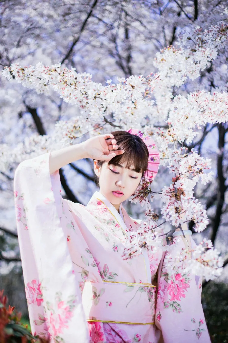 Kimono Floral Cherry Blossom Crane Wave