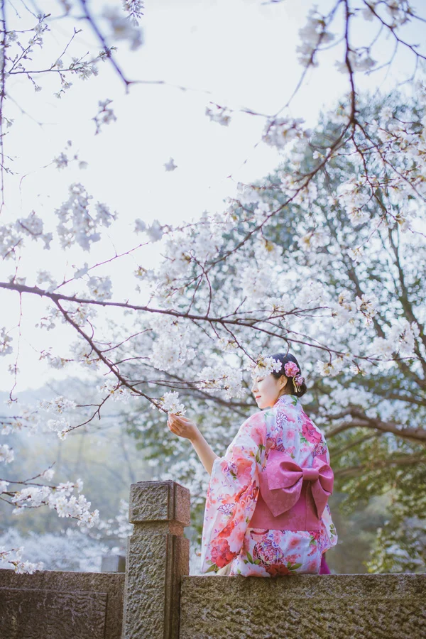 Kimono Floral Cherry Blossom Wave