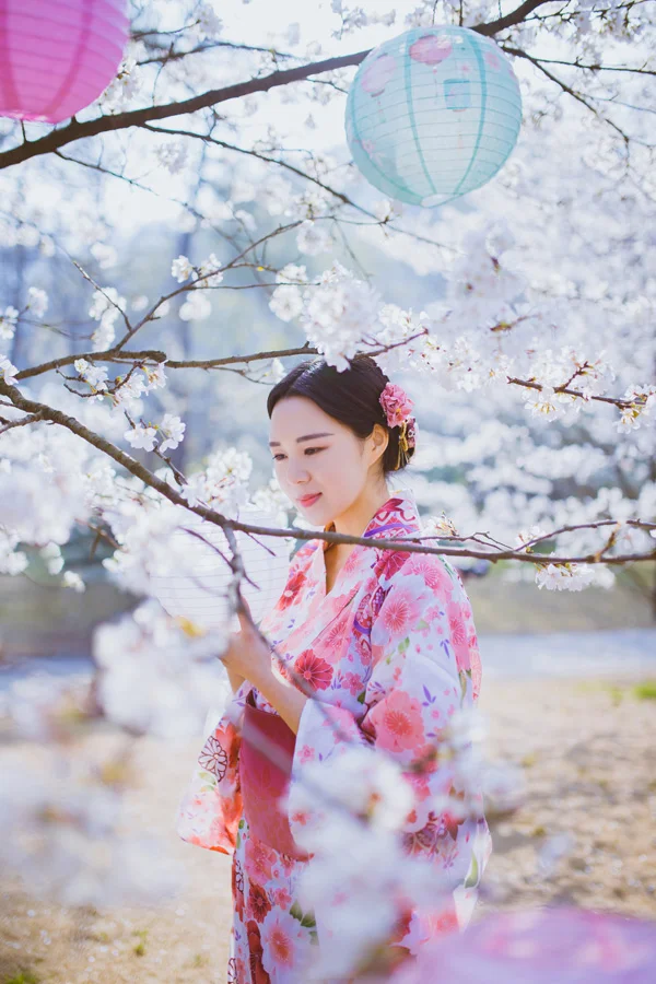 Kimono Floral Cherry Blossom Crane Wave Geometric