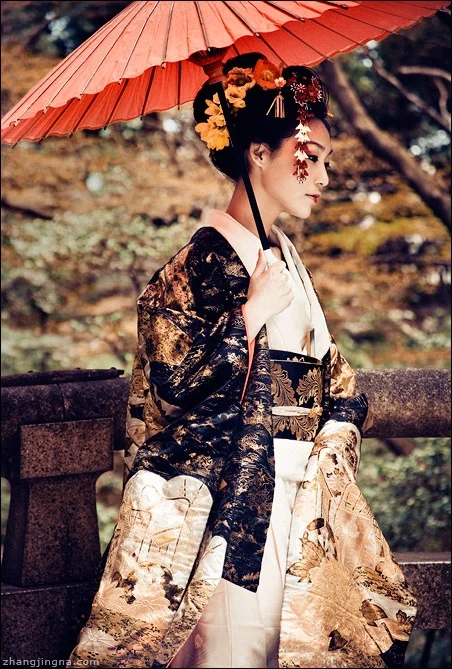 Kimono Floral Crane Wave