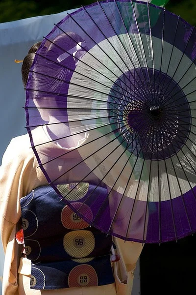 Kimono Purple Geometric Elegant Ceremonial