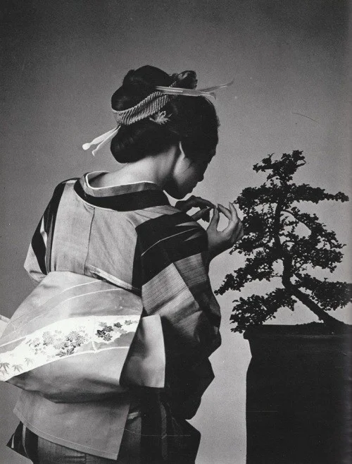 Kimono Stripe Floral Bonsai