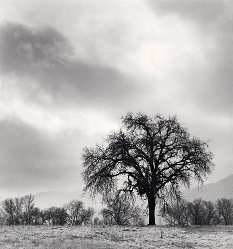 Landscape Dramatic High Contrast Moody Nature