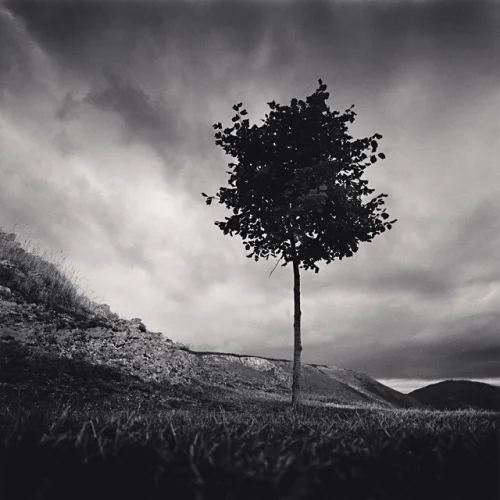 Landscape Dramatic High Contrast Moody Nature