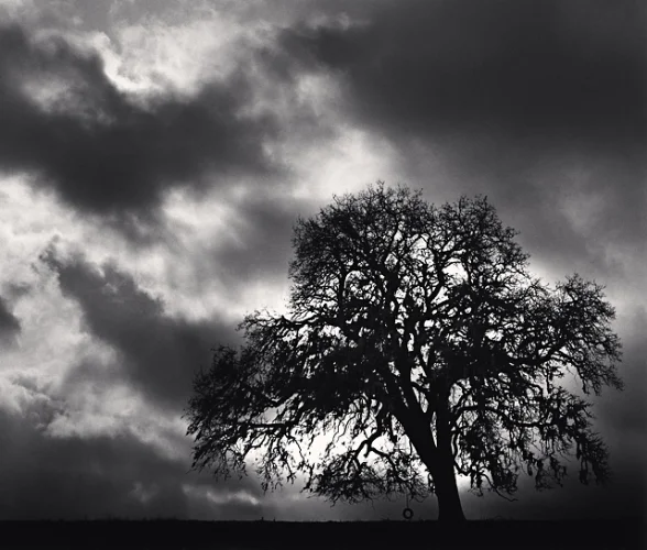 Landscape Dramatic High Contrast Moody Nature