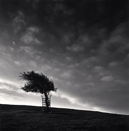 Landscape Dramatic High Contrast Moody Nature