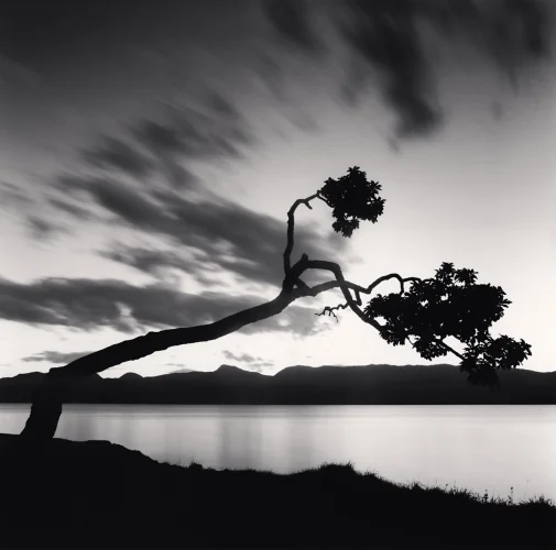 Landscape Dramatic High Contrast Moody Nature