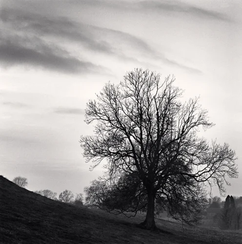 Landscape Dramatic High Contrast Moody Nature