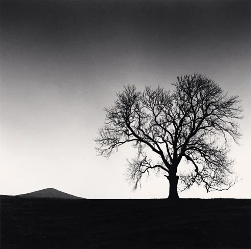 Landscape Dramatic High Contrast Moody Nature