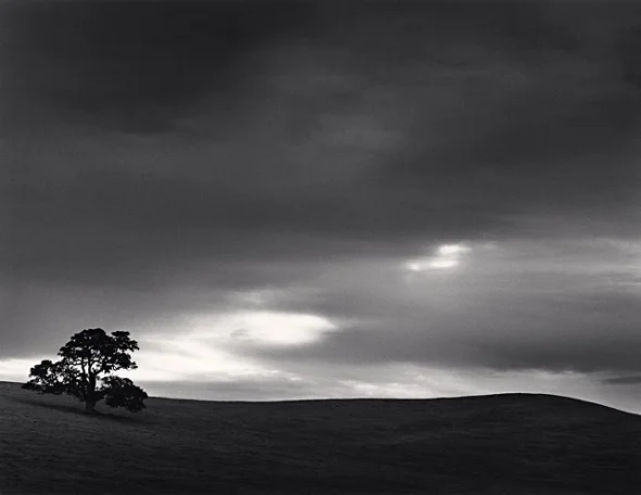 Landscape Dramatic High Contrast Moody Nature