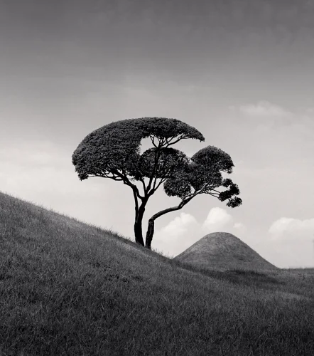 Landscape Dramatic Textured High Contrast Moody Nature