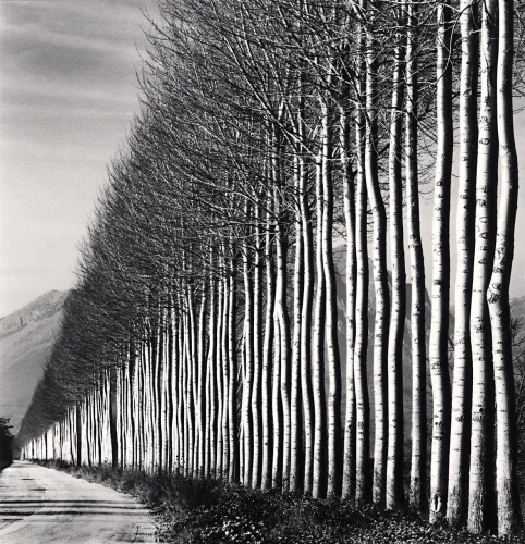 Landscape Dramatic Textured High Contrast Moody Nature