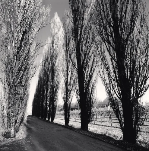Landscape Dramatic Textured High Contrast Mysterious Nature