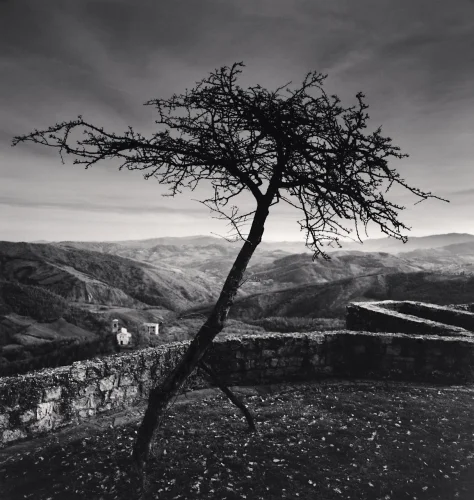 Landscape Dramatic Textured High Contrast Moody Nature