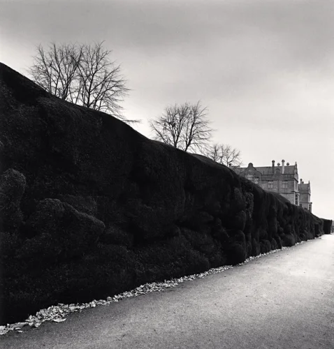 Landscape Dramatic Textured High Contrast Mysterious Atmospheric