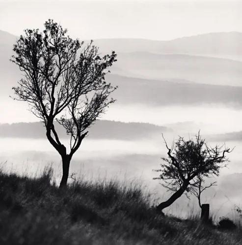 Landscape Dramatic Textured High Contrast Moody