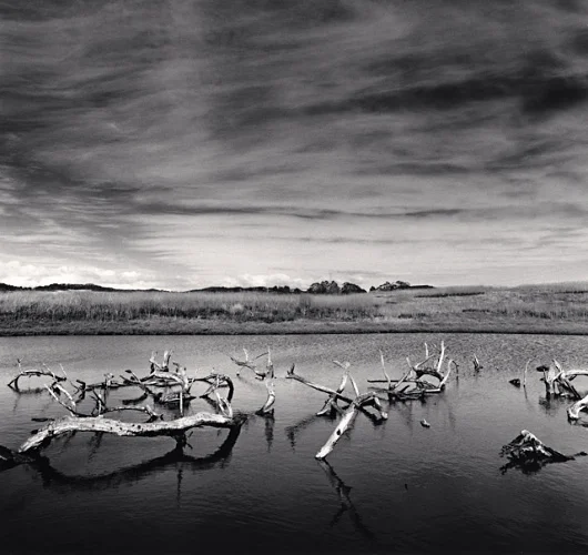 Landscape Driftwood Reflections Dramatic Textured High Contrast Mysterious