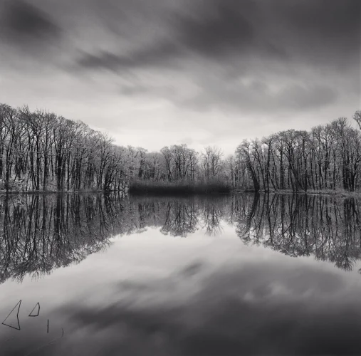 Landscape Foggy Dramatic Textured High Contrast Moody