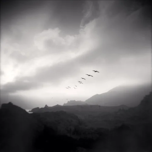 Landscape Foggy Dramatic High Contrast Mysterious Atmospheric